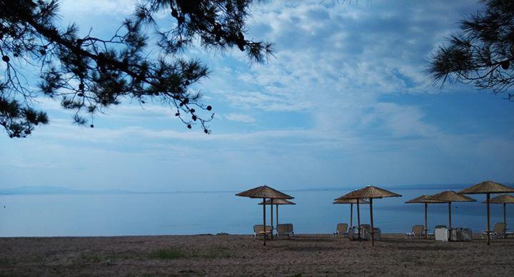 Olea Mare Διαμέρισμα Kalyves Polygyrou Εξωτερικό φωτογραφία